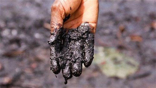 Eerste stap voor Shell: 1 miljard dollar voor schoonmaak Nigerdelta