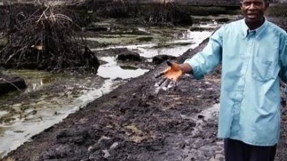 Shell-onderzoek naar olielekkage Nigerdelta is fiasco
