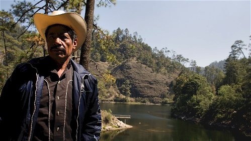 Mexicaanse milieuactivist vrij