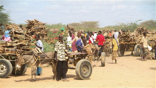 Kenia dwingt vluchtelingen terug naar Somalië