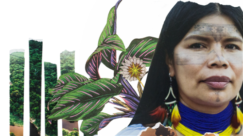 Activist uit amazone met beelden van planten